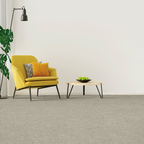 Warehouse Tile & Carpet providing easy stain-resistant pet friendly carpet in Baltimore, MD - Coastal Fashion II-Destin Beach
